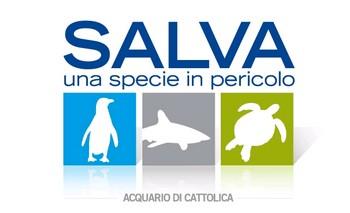 Il  30 aprile la città di Cattolica sostiene  “Salva una specie in pericolo