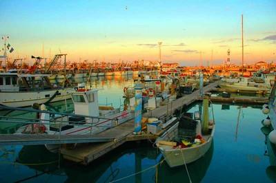 bando regionale diversificazione  tecniche e allevamento  pesca,scadenza bando 23 aprile 2021