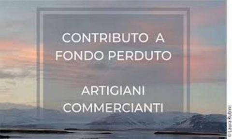contributi a favore di commercianti, artigiani non alimentari e palestre private domanda entro il 14 giugno2021