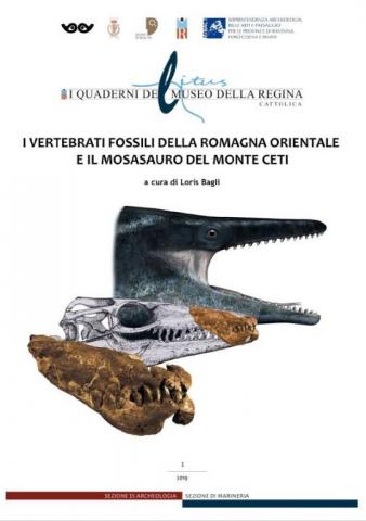 Mosasauro, Monte Ceti, fossili, Museo della Regina, Litus, I quaderni del Museo della Regina, vertebrati fossili Romagna