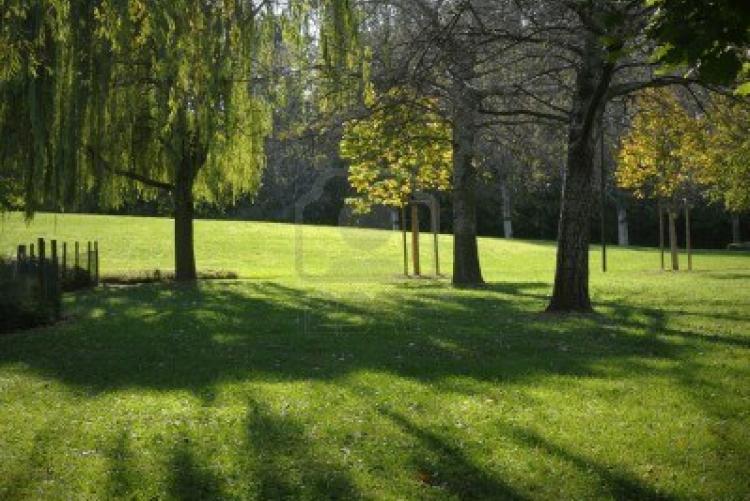 Finestra su un parco