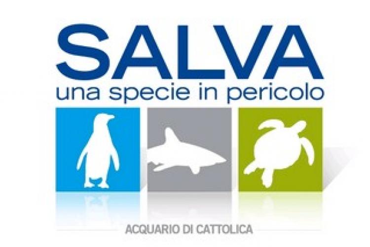 Il  30 aprile la città di Cattolica sostiene  “Salva una specie in pericolo"