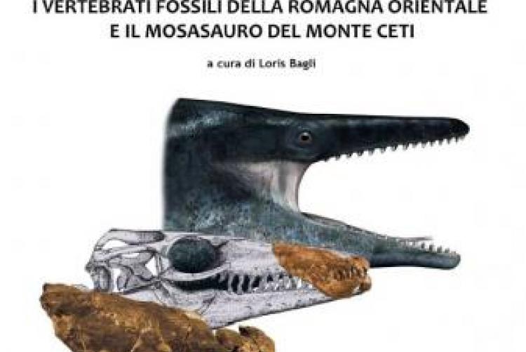 I vertebrati fossili della romagna orientale e il mosasauro del monte ceti