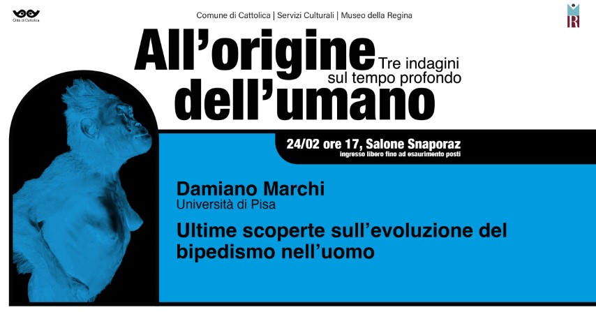 Damiano Marchi, bipedismo, evoluzione umana, antropologia fisica