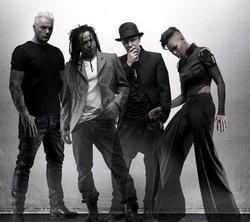 Arena della Regina 2013: arrivano STING e SKUNK ANANSIE