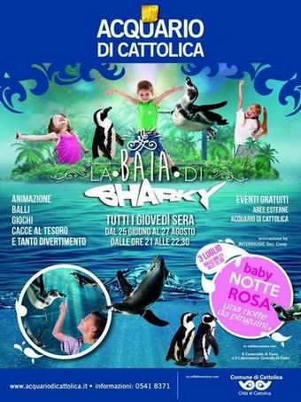 La Baia di Sharky 2015