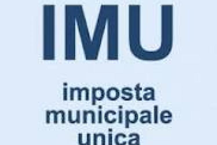 immagine I.M.U.