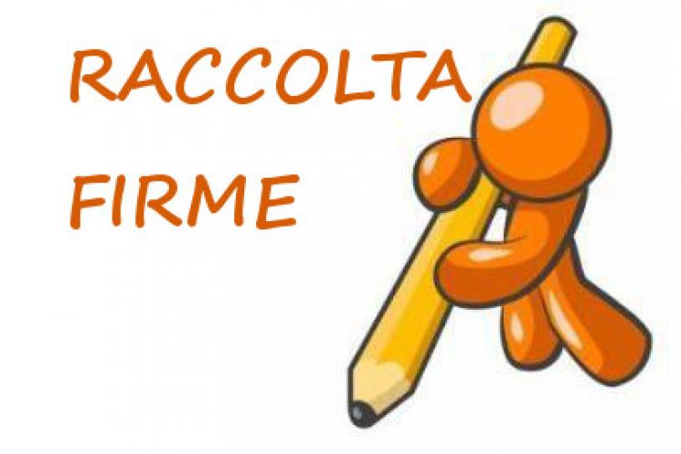 Raccolte fime