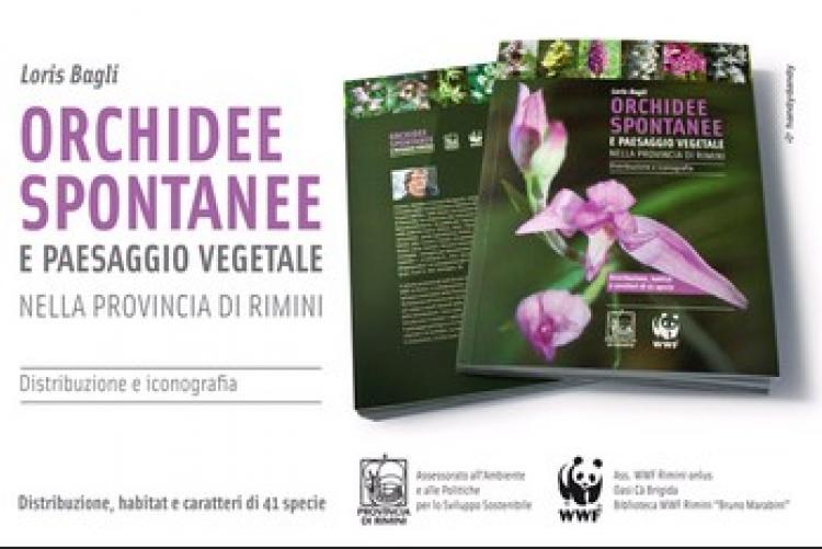 Venerdì 30 maggio  - "Orchidee spontanee" - conversazione con Loris Bagli