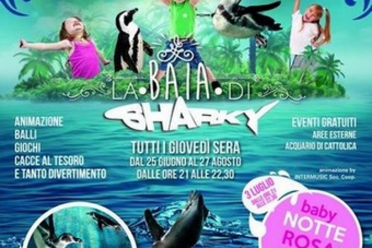 La Baia di Sharky 2015
