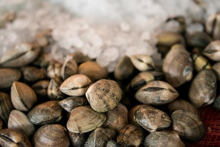 notte magica delle vongole