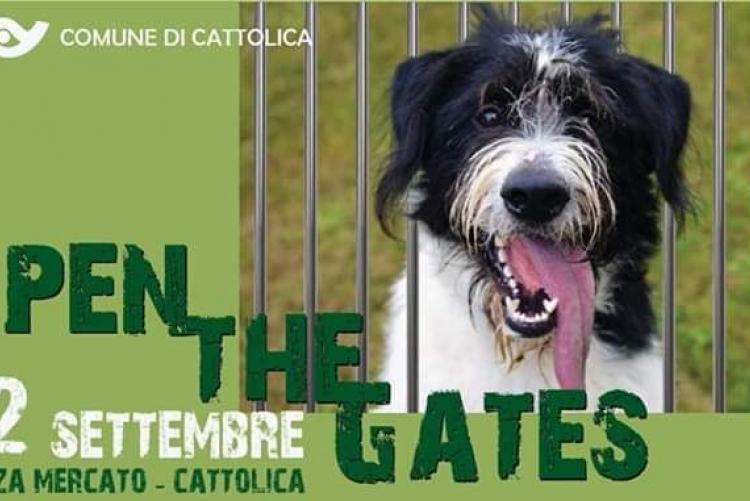OPEN THE GATES. ROMPIAMO LA RETE