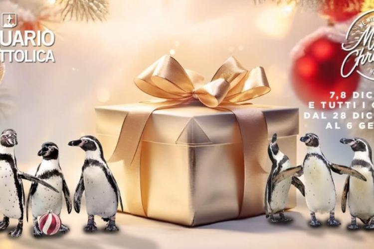 Natale all'Acquario